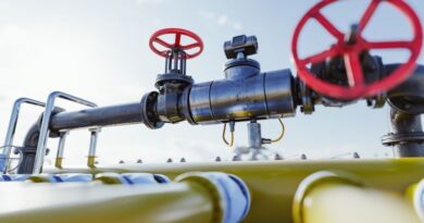 Vendburimi i gazit në Delvinë do të zhvillohet më tej për kërkim-shfrytëzim