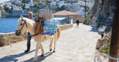 Njihuni me ishullin grek që i ka thënë “jo” makinave, gomari i vetmi mjet transporti